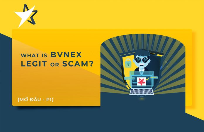 BVNex是正统还是欺骗？