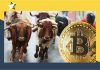 Dự đoán bitcoin tăng giá vào quý 4 năm 2022